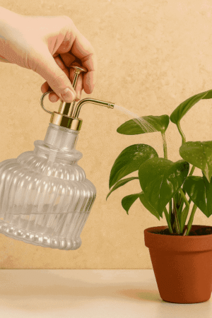 Cut Glass Plant Mist Spray Bottle