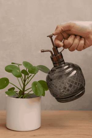 Cut Glass Plant Mist Spray Bottle
