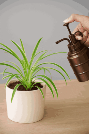 Metal Plant Mist Spray Bottle