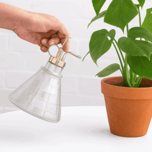 Glass & Metal Plant Mist Spray Bottle