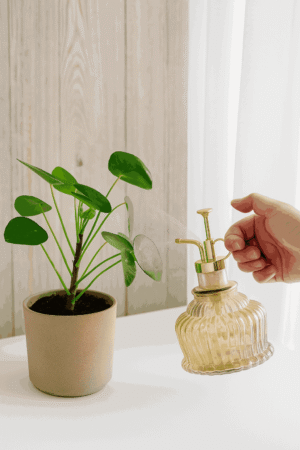 Glass & Metal Plant Mist Spray Bottle