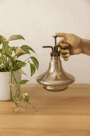 Metal Plant Mist Spray