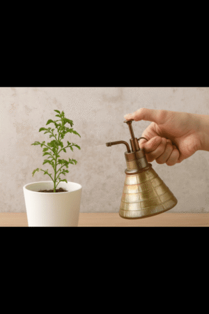 "Vintage Brass Plant Mister"