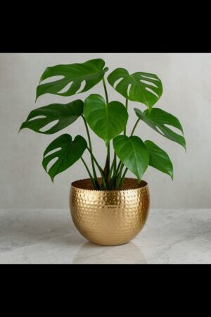 Golden Hammered Textured Metal Pot"